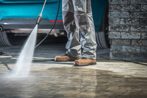 Best Animal Enclosure Cleaning  in Brookfield, WI